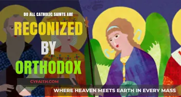 Are All Catholic Saints Recognized by the Orthodox Church?