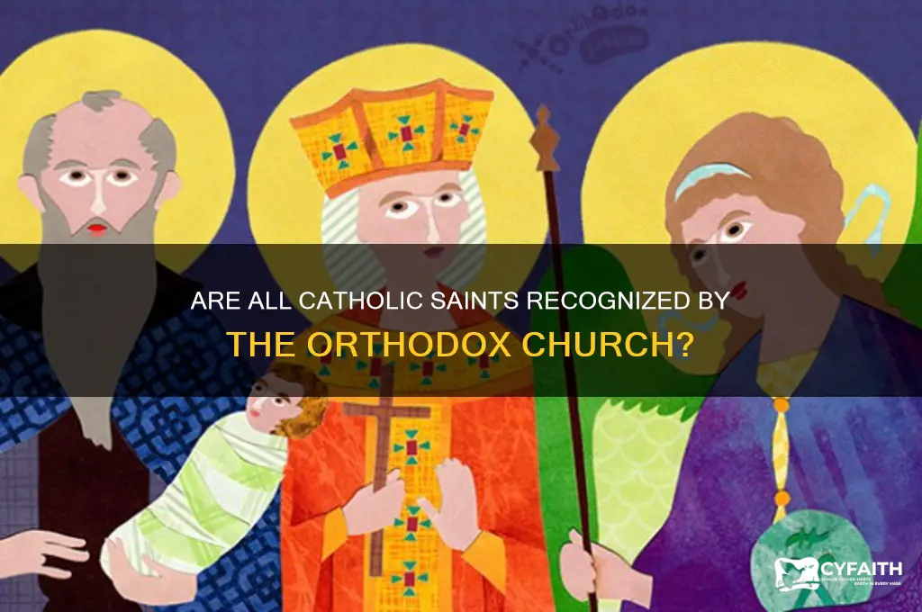 do all catholic saints are reconized by orthodox