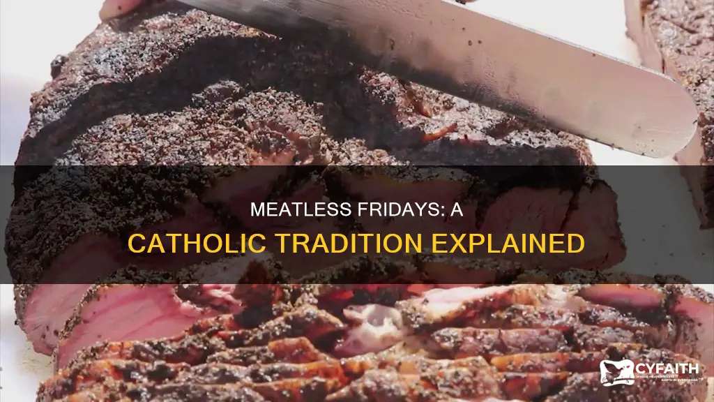 do all catholics have no meat during fridays