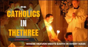 Do All Catholics in the Three Follow the Same Practices?
