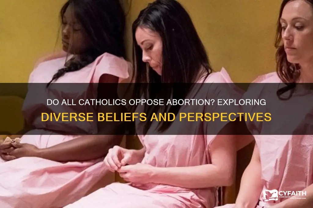 do all catholics oppose abortion