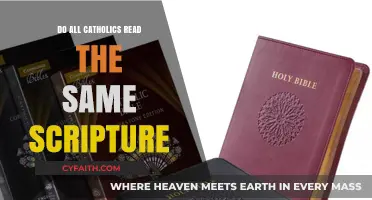 Catholics and Scripture: What's the Difference?