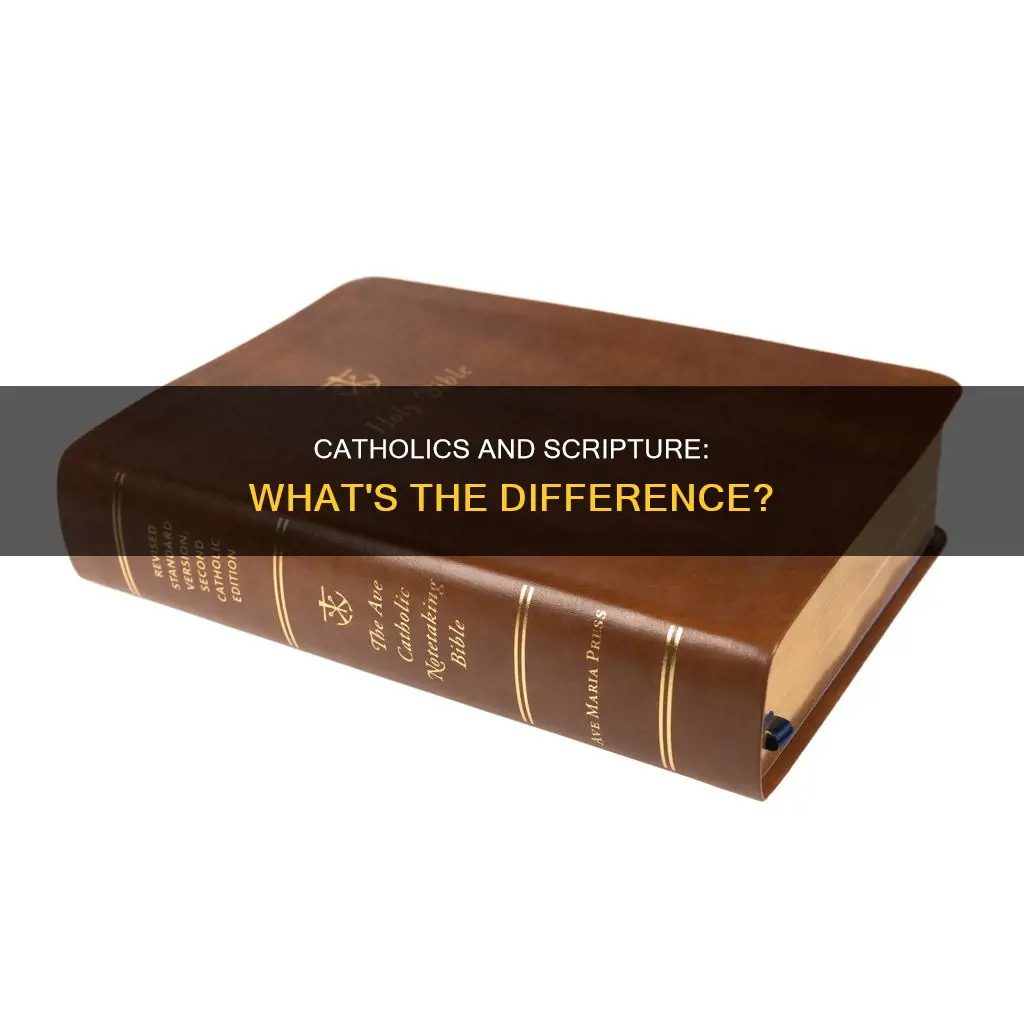do all catholics read the same scripture