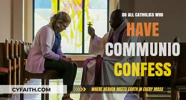 Communion and Confession: Catholic Practice Explained