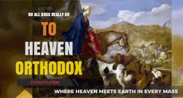 Do All Dogs Go to Heaven in Orthodox Beliefs?