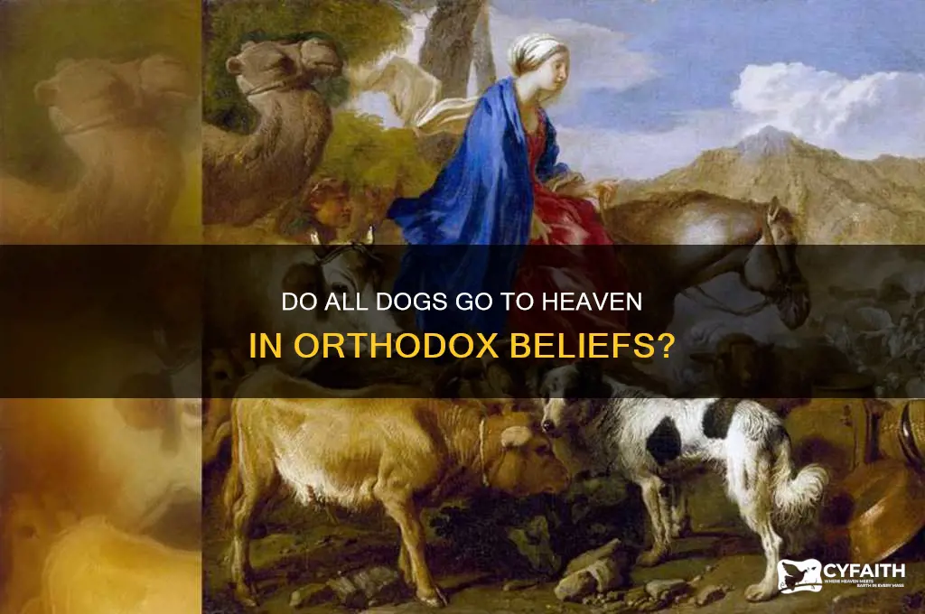 do all dogs really go to heaven orthodox