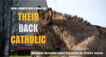 Catholic Symbolism: Do All Donkeys Bear a Cross on Their Back?