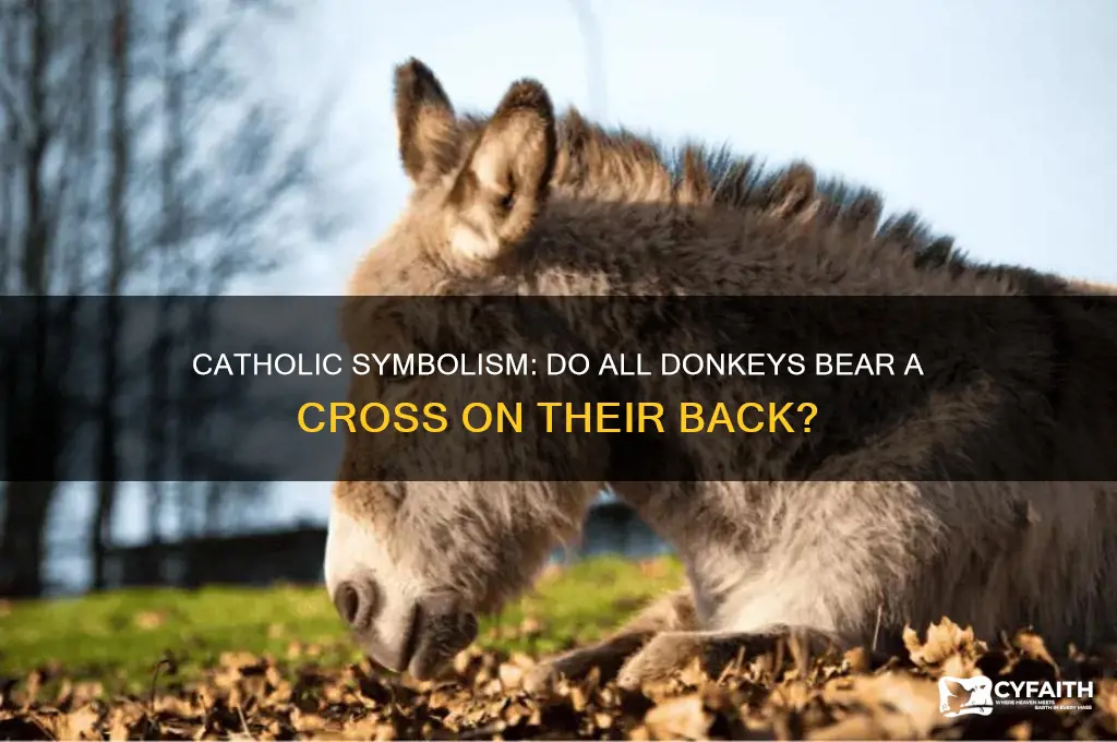 do all donkeys have a cross on their back catholic