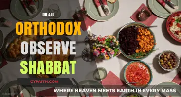 Do All Orthodox Jews Observe Shabbat? Exploring Traditions and Practices