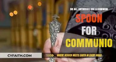 Orthodox Communion Practices: Shared Spoon or Individual Use?