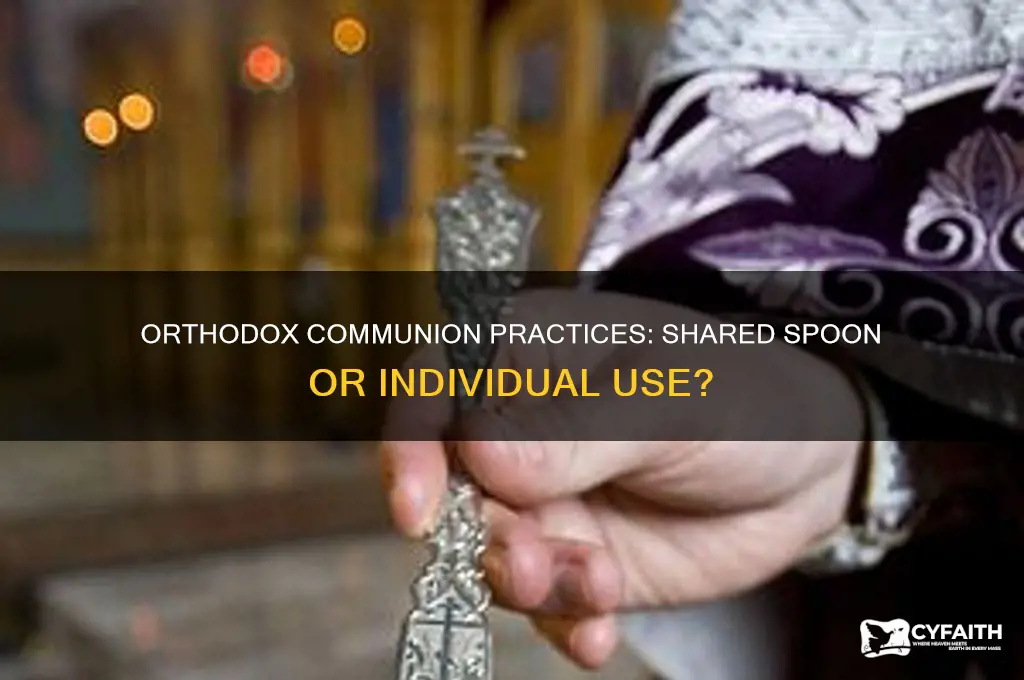 do all orthodox use a common spoon for communion