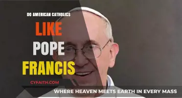 Pope Francis: A Polarizing Figure Among American Catholics?