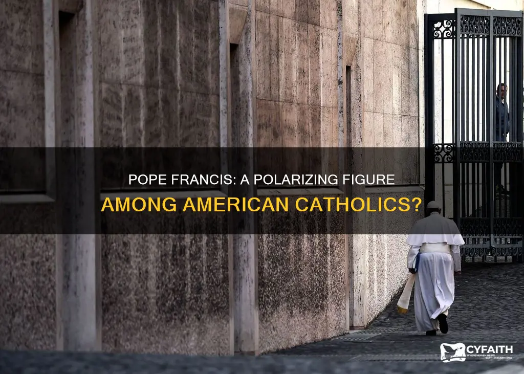 do american catholics like pope francis