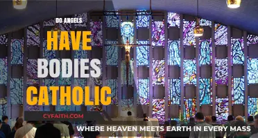Do Angels Have Physical Bodies in Catholic Theology?