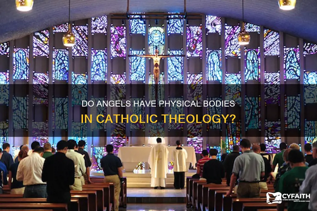 do angels have bodies catholic