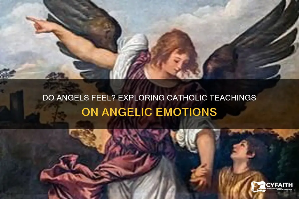 do angels have emotions catholic