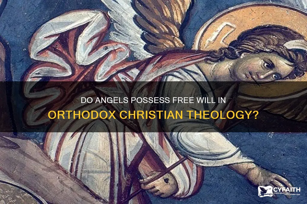 do angels have free will orthodox