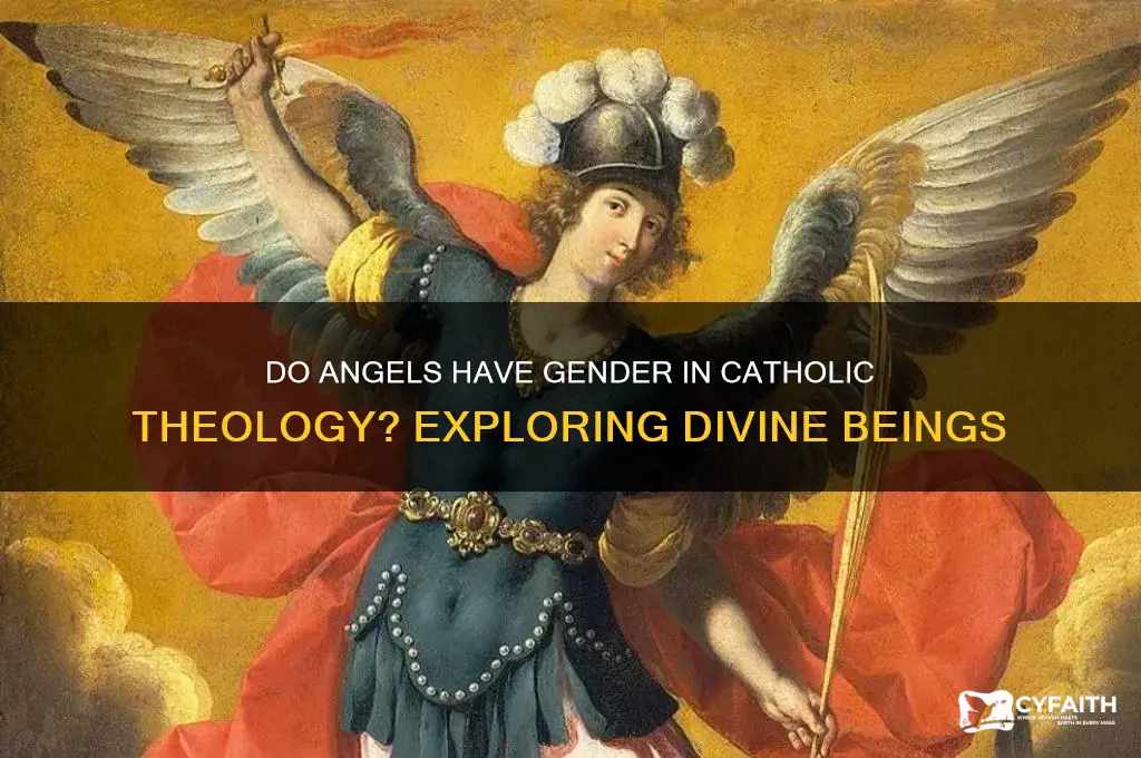 do angels have gender catholic
