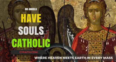 Do Angels Have Souls? Exploring Catholic Teachings on Angelic Nature