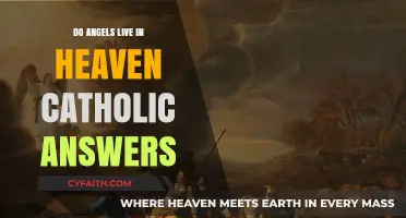 Angels' Abode: Catholic Perspective on Heaven