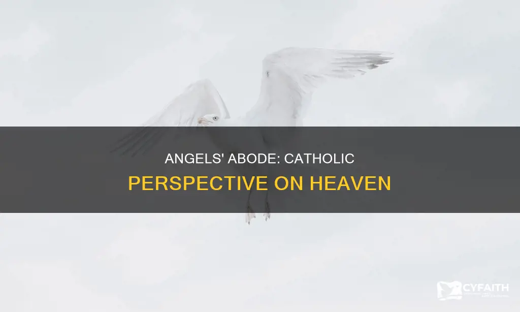 do angels live in heaven catholic answers