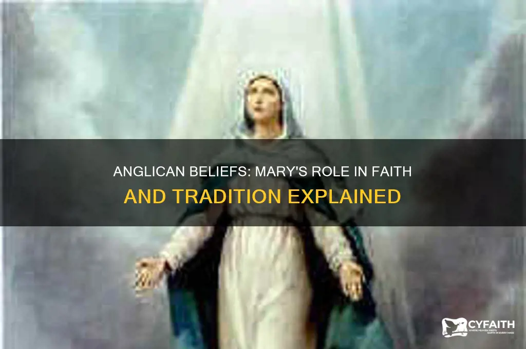 do anglican believe in mary
