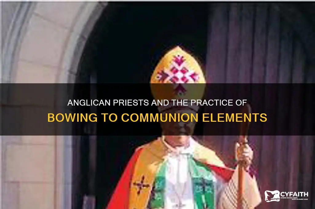 do anglican priests bow to the communion elements