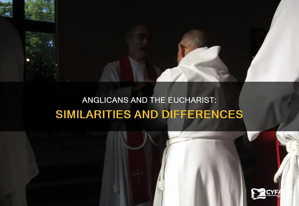do anglicans use a cosecrated hist like catholics