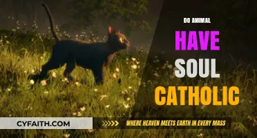 Do Animals Have Souls? Exploring Catholic Teachings on Animal Spirituality