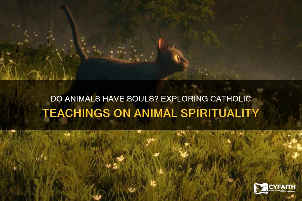 do animal have soul catholic