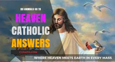 Animals in Heaven: Catholic Perspective