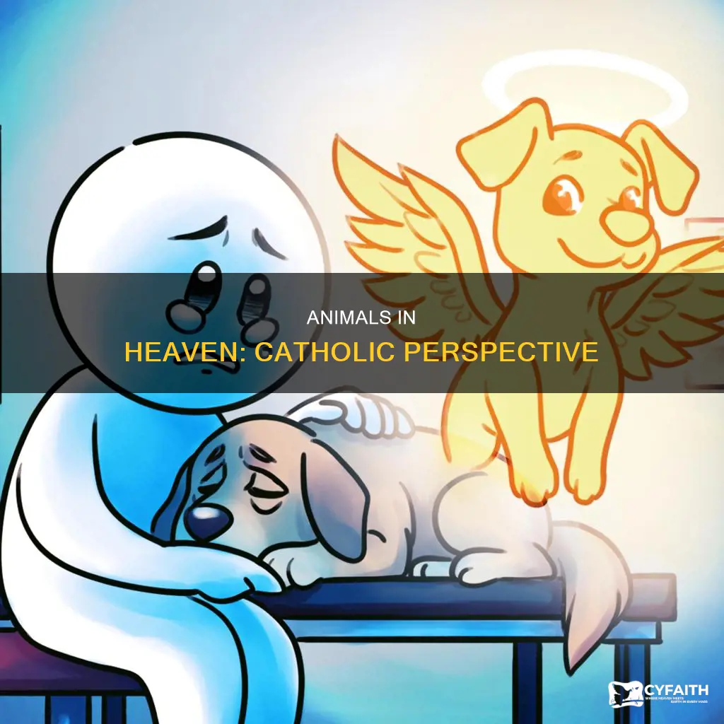 do animals go to heaven catholic answers