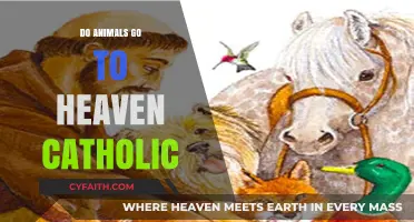 Catholic Beliefs: Animals in Heaven?