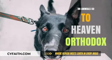 Do Animals Go to Heaven in Orthodox Christianity?