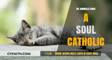 The Soulful Nature of Animals in Catholic Theology