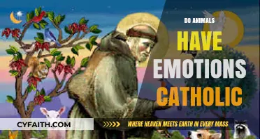 Catholic Perspective: Do Animals Experience Emotions Like Humans?