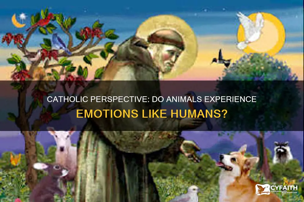 do animals have emotions catholic