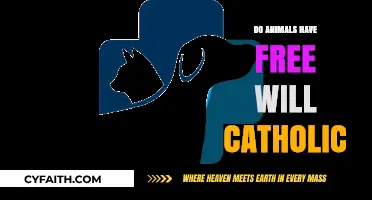 Do Animals Have Free Will in Catholic Philosophy?