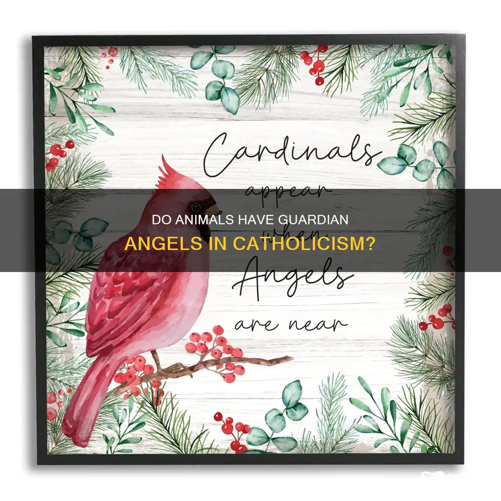 do animals have guardian angels catholic