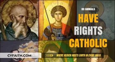 Catholic Perspective on Animal Rights: Moral Obligations and Ethical Considerations