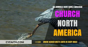 Do Animals Have Souls? Anglican Church in North America Explores