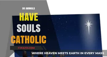 Do Animals Have Souls? Exploring Catholic Teachings on Animal Spirituality