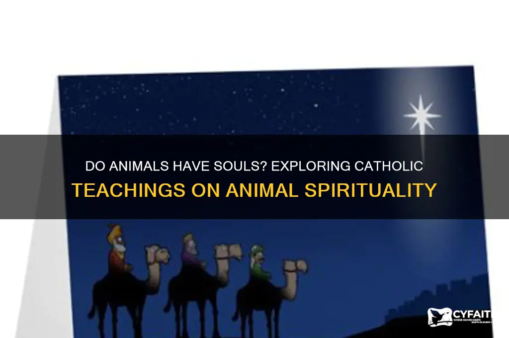 do animals have souls catholic