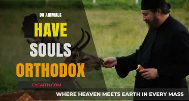 Do Animals Have Souls? Exploring Orthodox Christian Perspectives on Animal Souls