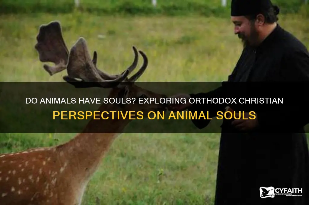 do animals have souls orthodox