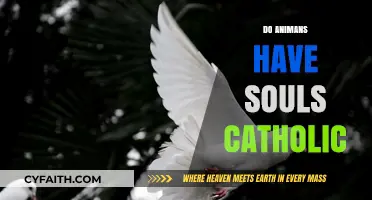 Do Animals Have Souls? Exploring Catholic Teachings and Perspectives