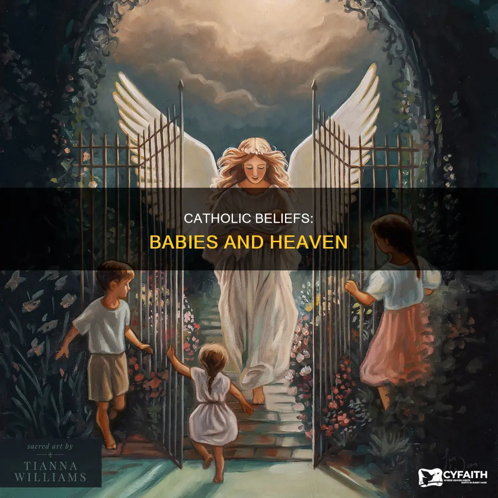 do babies go to heaven catholic