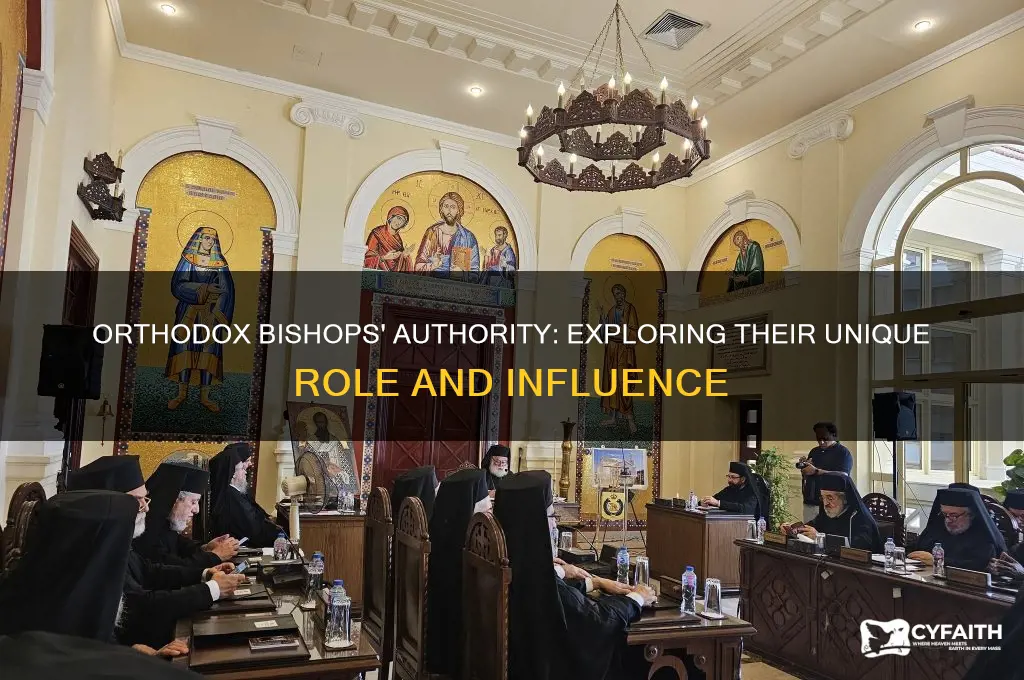 do bishops in orthodox churches have extra authority