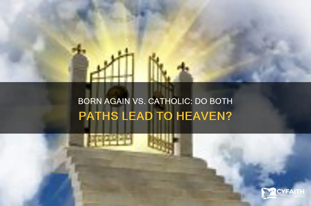 do born again christians think catholics go to heaven
