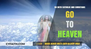 Who Goes to Heaven? Catholics, Christians, and Beyond